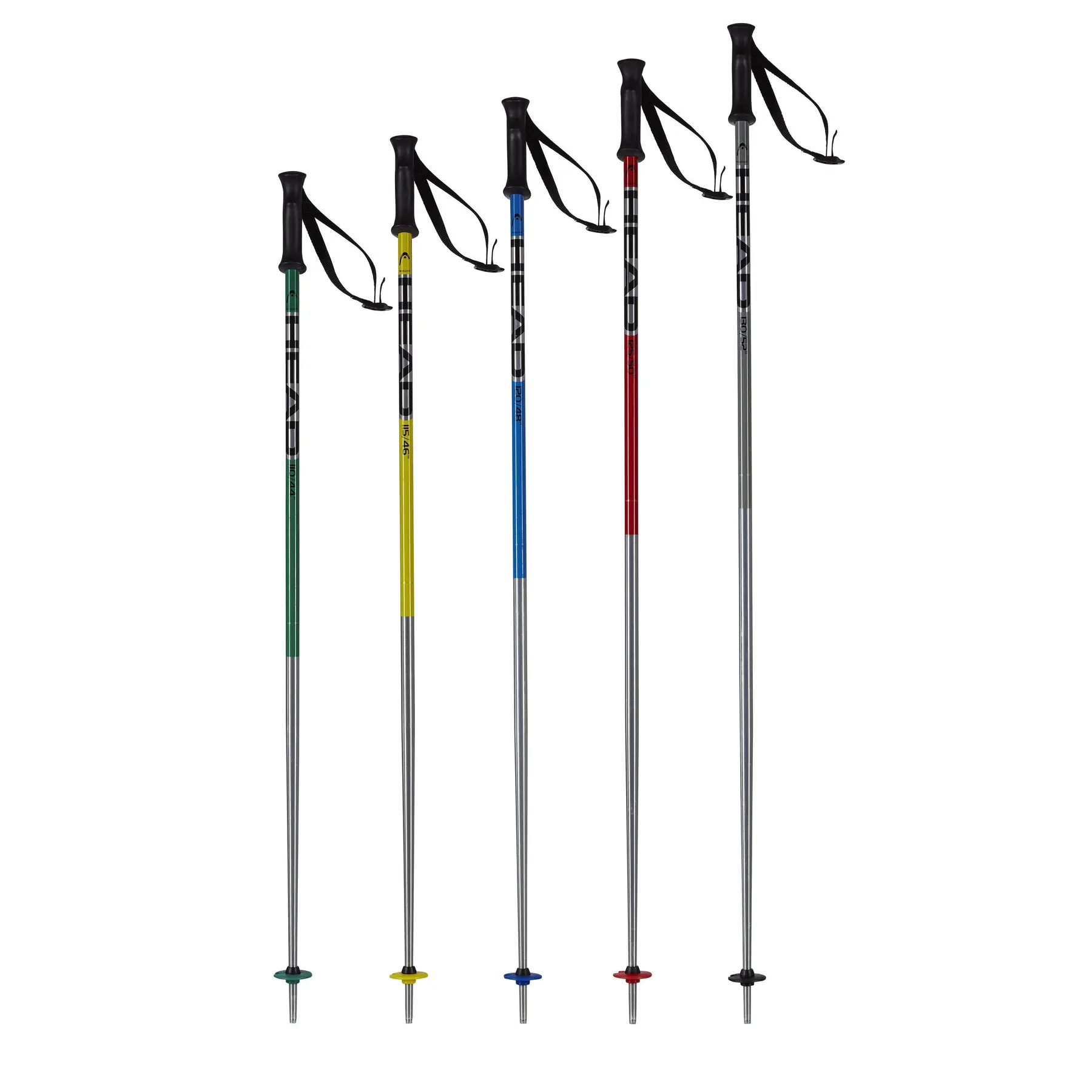 Bâton de ski Head Rental