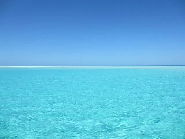 Top 5 des activités à sensations marines à découvrir
