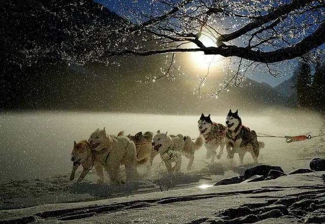 Top 10 des activités à sensations d'hiver à essayer