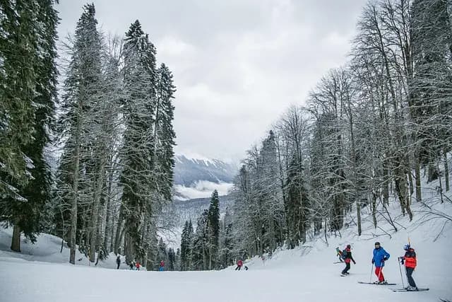 Les 10 meilleures activités à sensations à essayer cet automne