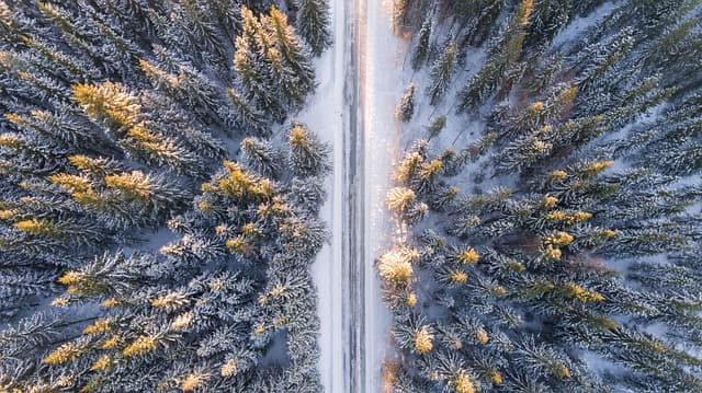 Les meilleures activités à sensations à essayer en été