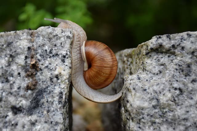 Top 10 des nouvelles activités à sensations à essayer