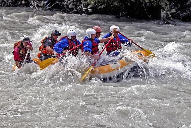 Top 5 des activités à sensations aquatiques à découvrir
